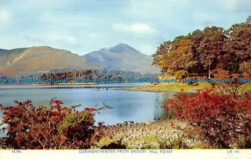 R066669 Derwentwater von Broom Hill Point. Webster. 1964