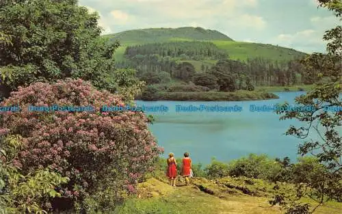R067330 Burrator Lake. Dartmoor. Devon. Jarrold. Cotman Farbe