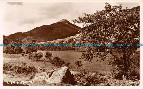 R067357 Llyn Gwynant. Fotopräzision. Englisch. RP