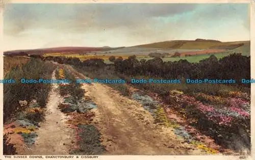R067361 The Sussex Downs. Chanctonbury und Cissbury. Photochrom