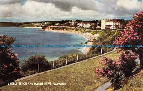 R066967 Castle Beach und Marine Drive. Falmouth. Lachs
