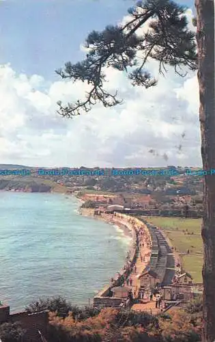 R067684 Cliff Walk. Goodrington. A. W. Besley. 1963