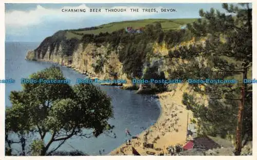 R068777 Bezauberndes Bier durch die Bäume. Devon. Dennis