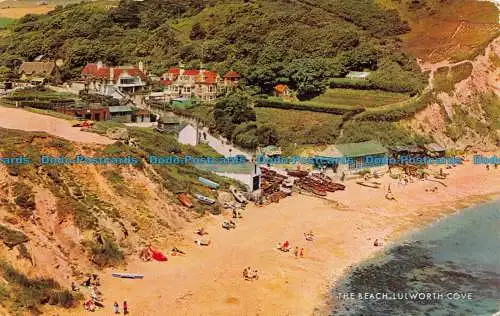 R068348 The Beach. Lulworth Cove. Lachs