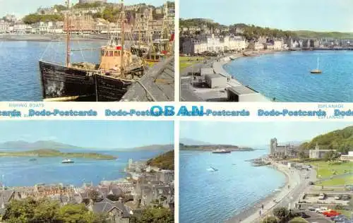 R069198 Oban. Mehrfachansicht. Dennis