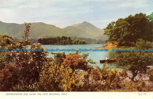 R069064 Derwentwater und Causey Pike von Broomhill Point. Sanderson und Dixon.