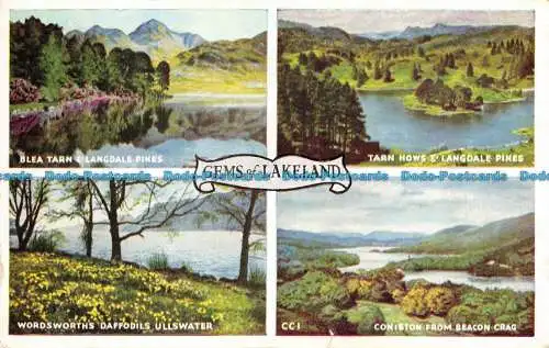 R069523 Gems of Lakeland. Mehrfachansicht. Webster. 1967