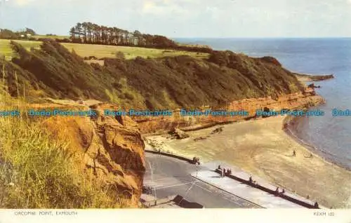 R069634 Orcombe Point. Exmouth. Jarrold. RP. 1958