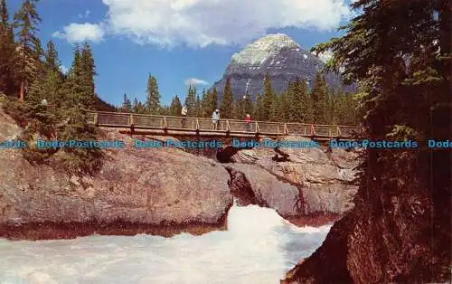 R070958 Die natürliche Brücke und der Mt. Stephen. Yoho Nationalparks. Die kanadische Ro