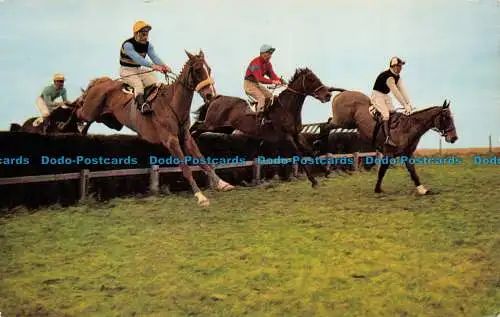 R070549 Britains Countryside. Point to Point Racing. Lachs