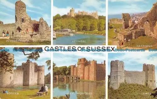 R082662 Castles of Sussex. Mehrfachansicht. Lachs