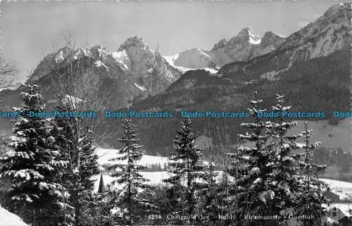 R082763 Chateau d Oex. Rublv. Videmanette Gumfluh. Sartori