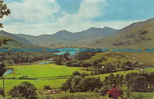 R083442 Capel Curig Caernarvon. Wales. Dexter. 1966