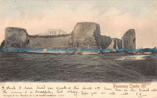 R090428 Pevensey Castle. II. Stengel. 1904