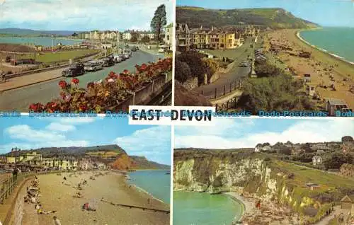 R090645 East Devon. 1971. Multi View