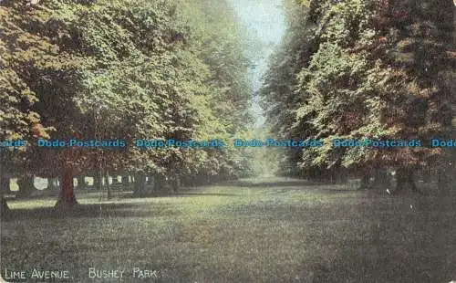 R092120 Lime Avenue. Bushey Park. Smith. 1910