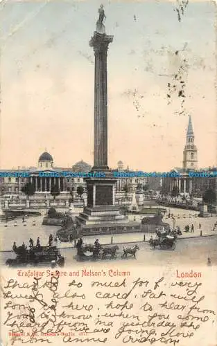 R092122 Trafalgar Square und Nelsons Säule. London. Stengel. 1903