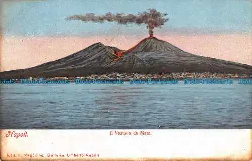 R094110 Napoli. Il Vesuvio da Mare. E. Ragozino