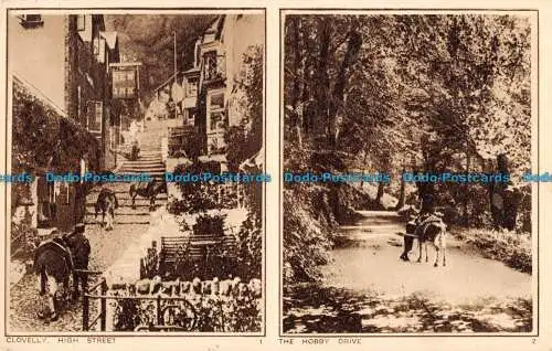R094839 Clovelly High Street und der Hobby Drive. Photochrom