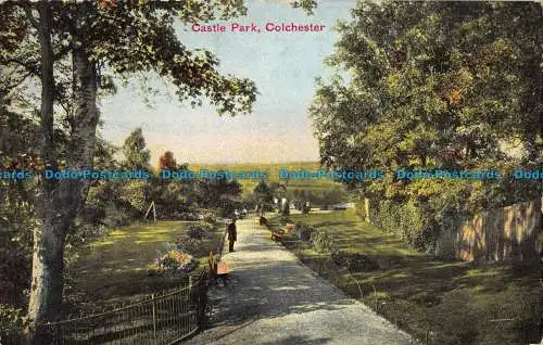 R094488 Schlosspark. Colchester. Valentine
