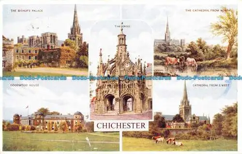 R095874 Chichester. Mehrfachansicht. Lachs. 1954