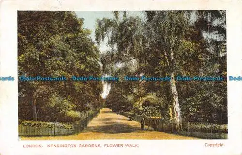 R095956 London. Kensington Gardens. Flower Walk. 1905