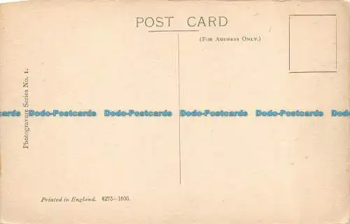 R102461 Long Walk. Windsor Castle zeigen. Fotogravur Serie Nr. 1