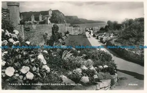 R104464 Camelia Walk. Connaught Gardens. Sidmouth. Harvey Barton. Nr 45294. RP
