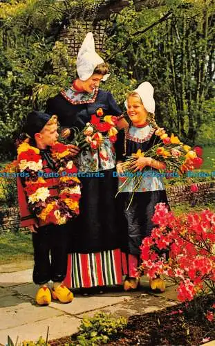 R105055 Holland in Blumendekoration. Vita Nova