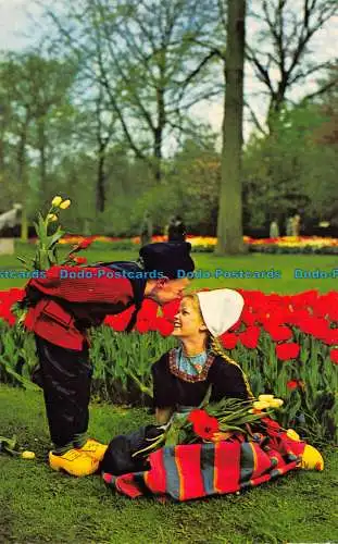 R105059 Holland in Blumendekoration. Vita Nova