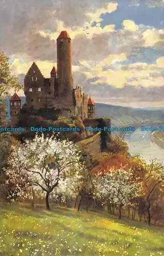 R105166 Burg Hornberg am Neckar. Edm. von König. Nr. 662