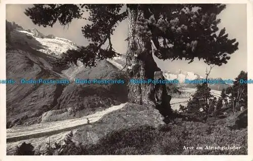 R104096 Arve am Aletschgletscher. J. Gaberell. 6892. Anstalt