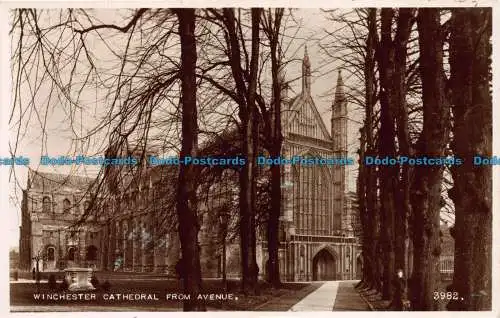 R106098 Winchester Cathedral von der Avenue. Valentinstag. Nr 3982. RP