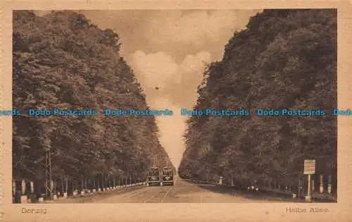 R107170 Danzig. Halbe Allee