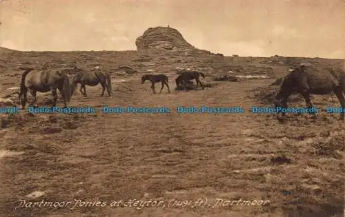 R107307 Dartmoor Ponys bei Heytor. Dartmoor. Frith