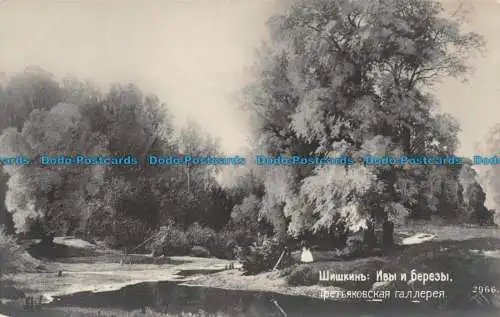 R110017 Siskin. Eves und Birken. B. Hopkins