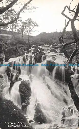 R112580 Betten Y Coed. Schwalbenfälle. Dennis