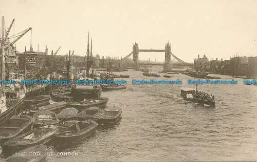 R112734 The Pool of London. C. F. Castle