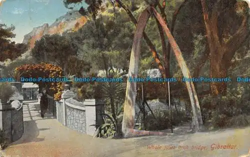 R112927 Whale Jaws Bogenbrücke. Gibraltar. Benzaquen
