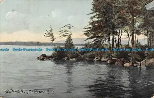 R112171 Wolfboro. N. H. Pinkhams Point. Hugh C. Leighton. 1908. B. Hopkins