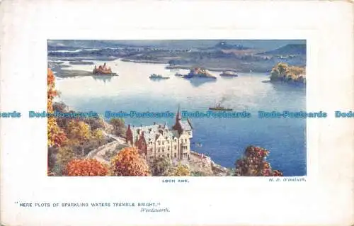R113591 Loch Awe. stecken. Oilette