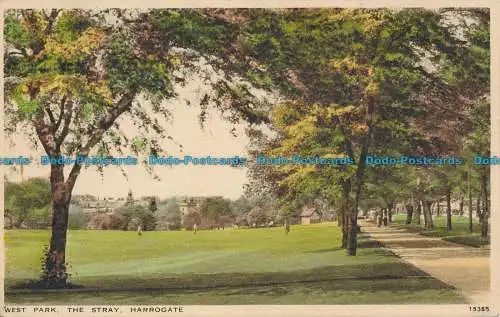 R113950 West Park. Der Streuner. Harrogate. Lachs. Tiefdruck. Nr 15365