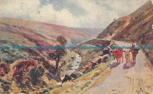 R116980 Alte Postkarte. Tal. Davidson Bros. 1905