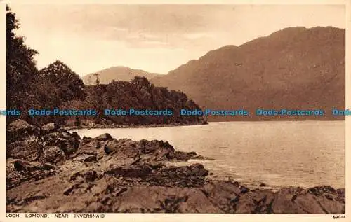 R117069 Loch Lomond. Near Inversnaid. Photochrom. Nr 69944