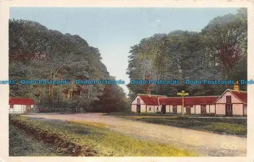 R118279 Foret de Perseigne. Rond Point de Croix Samson