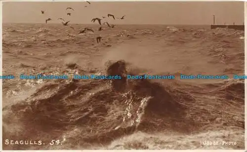 R118738 Möwen. Judges Ltd. RP