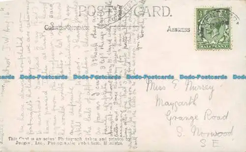 R118738 Möwen. Judges Ltd. RP