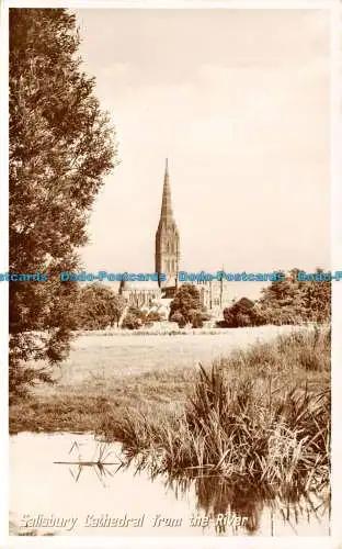 R121962 Kathedrale von Salisbury vom Fluss. Fotopräzision. Englisch. RP