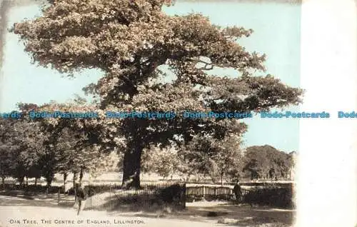 R121466 Eiche. Das Zentrum Englands. Lillington. J. Collier. 1904