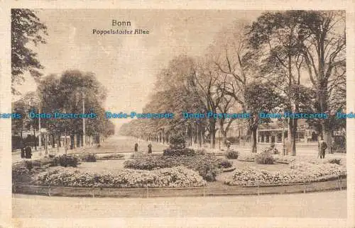 R122085 Bonn. Poppelsdorfer Allee